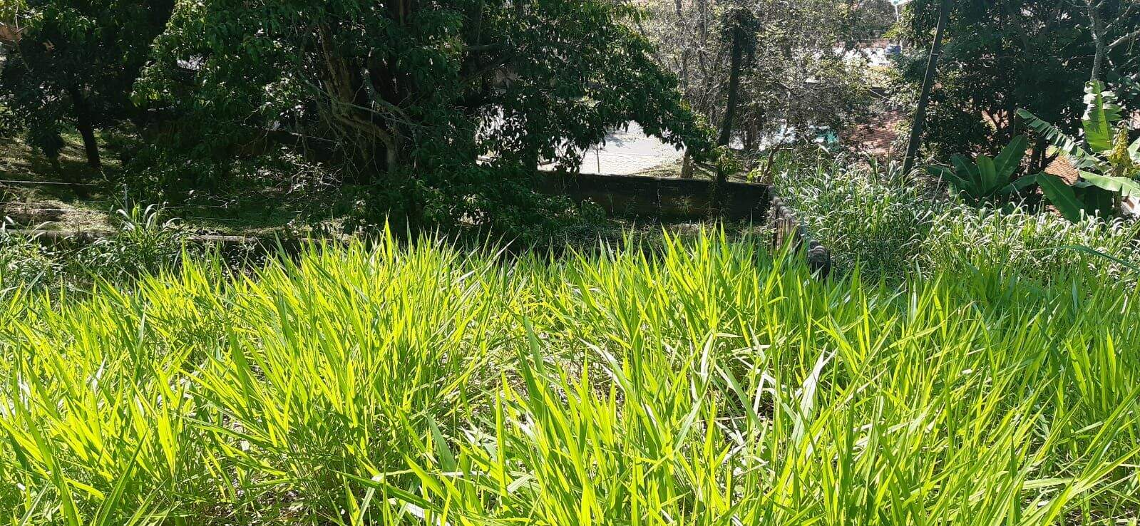 Terreno à venda no Centro: 