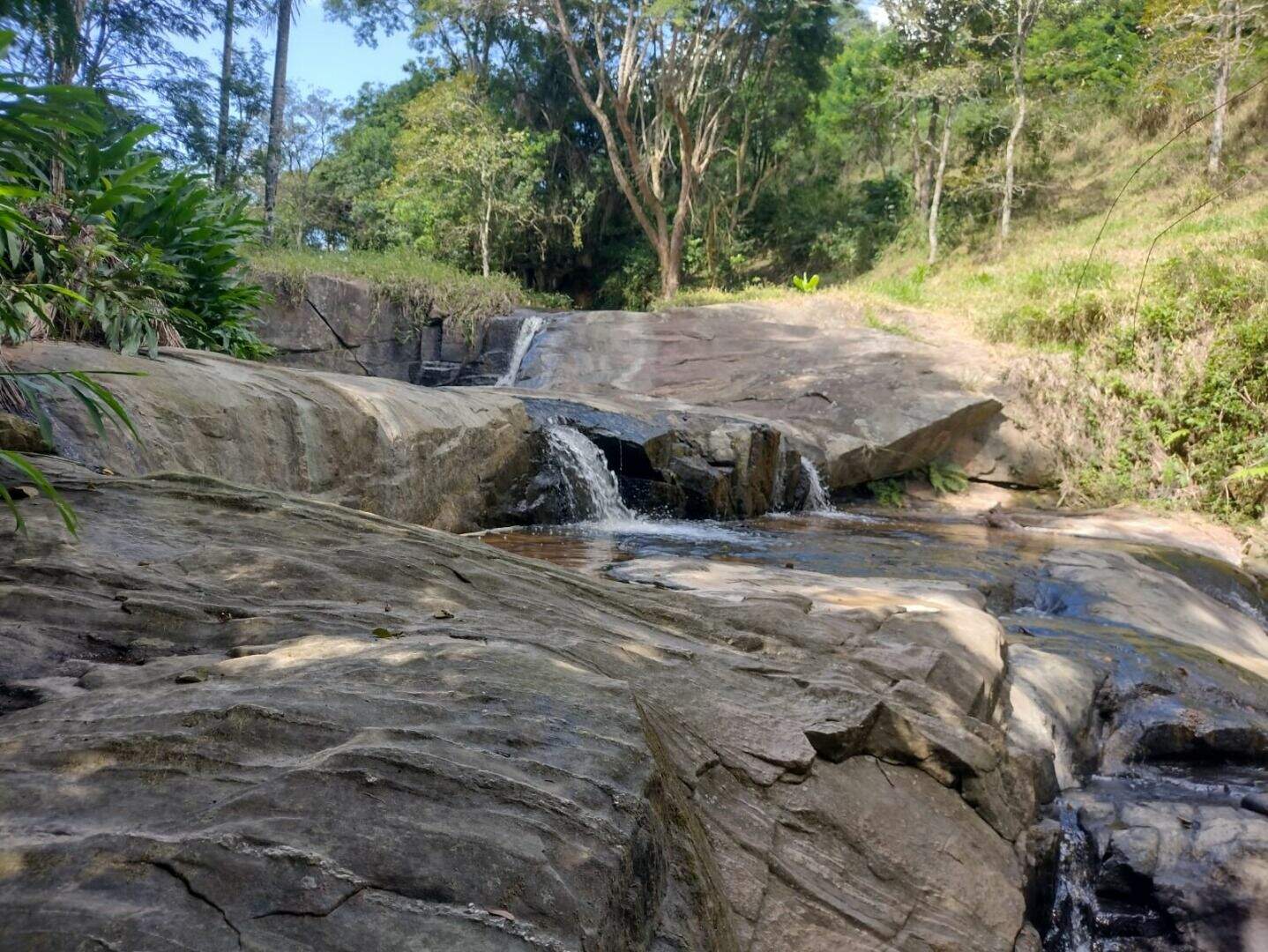 Sítio à venda no Parque Agrinco: 