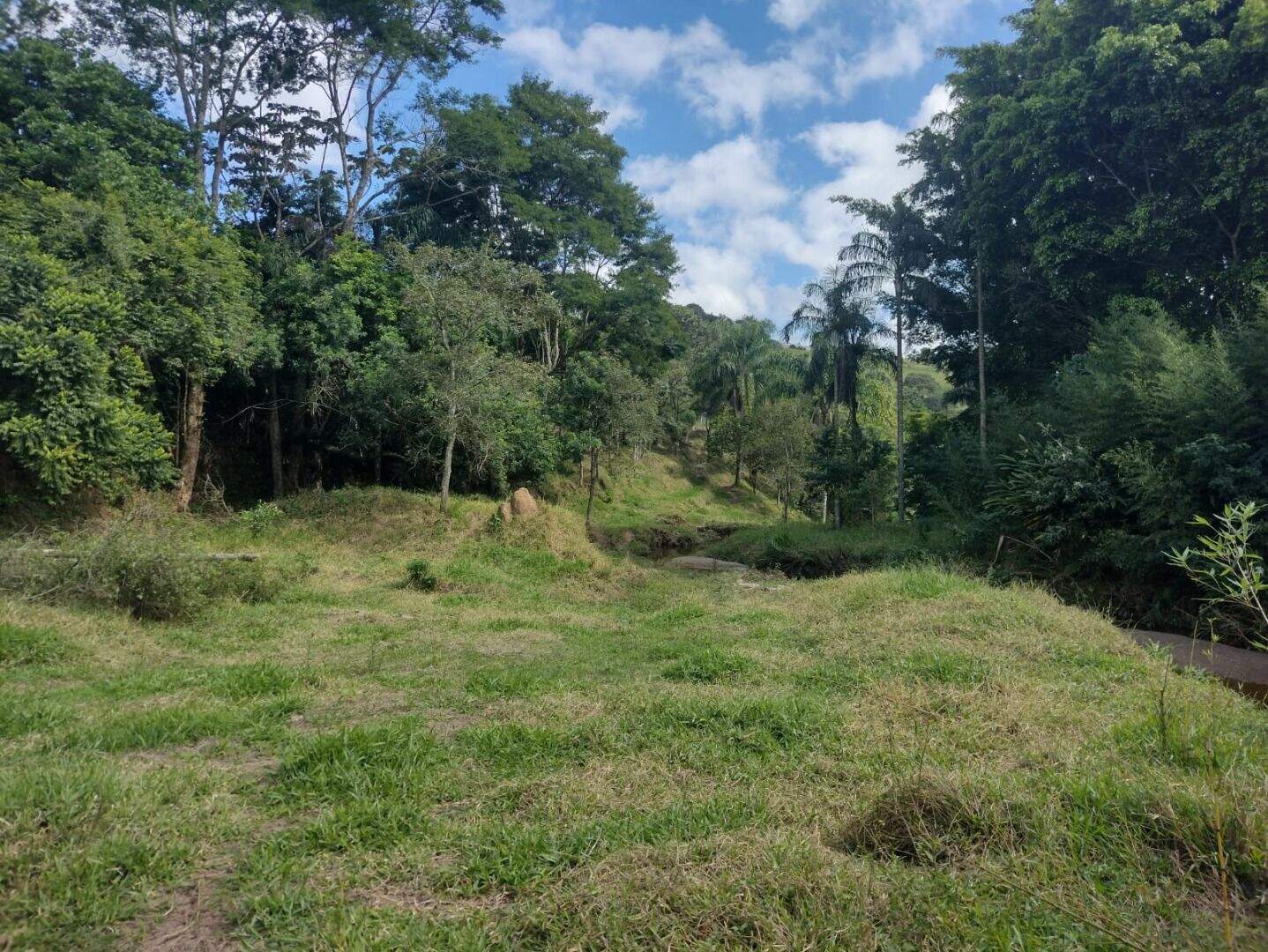 Sítio à venda no Parque Agrinco: 