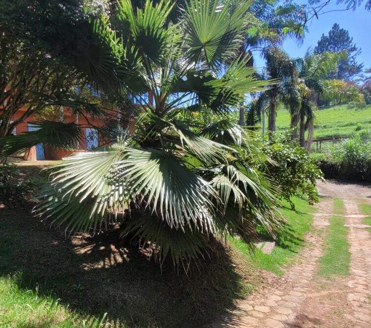 Chácara à venda no Luiz Carlos: 