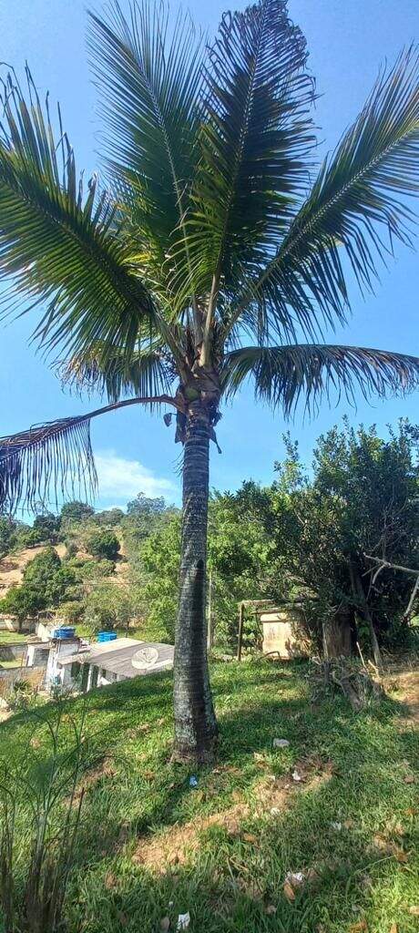 Chácara à venda no Santa Branca: 
