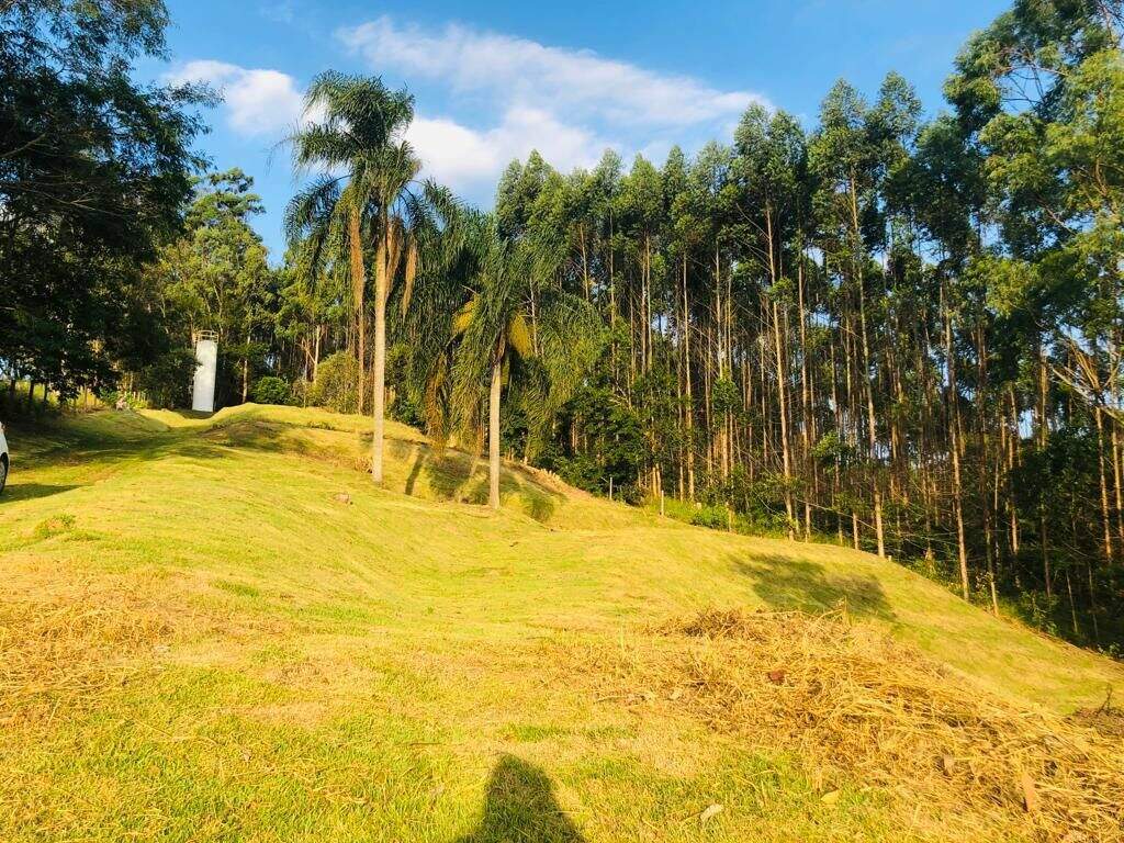 Terreno à venda no Paião: 