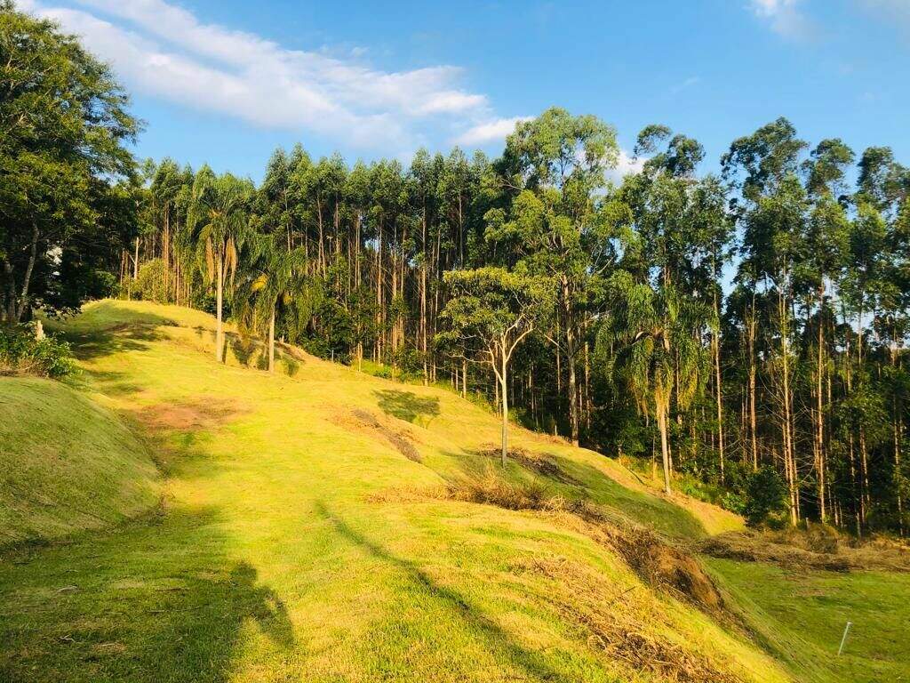 Terreno à venda no Paião: 