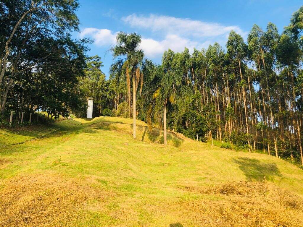 Terreno à venda no Paião: 