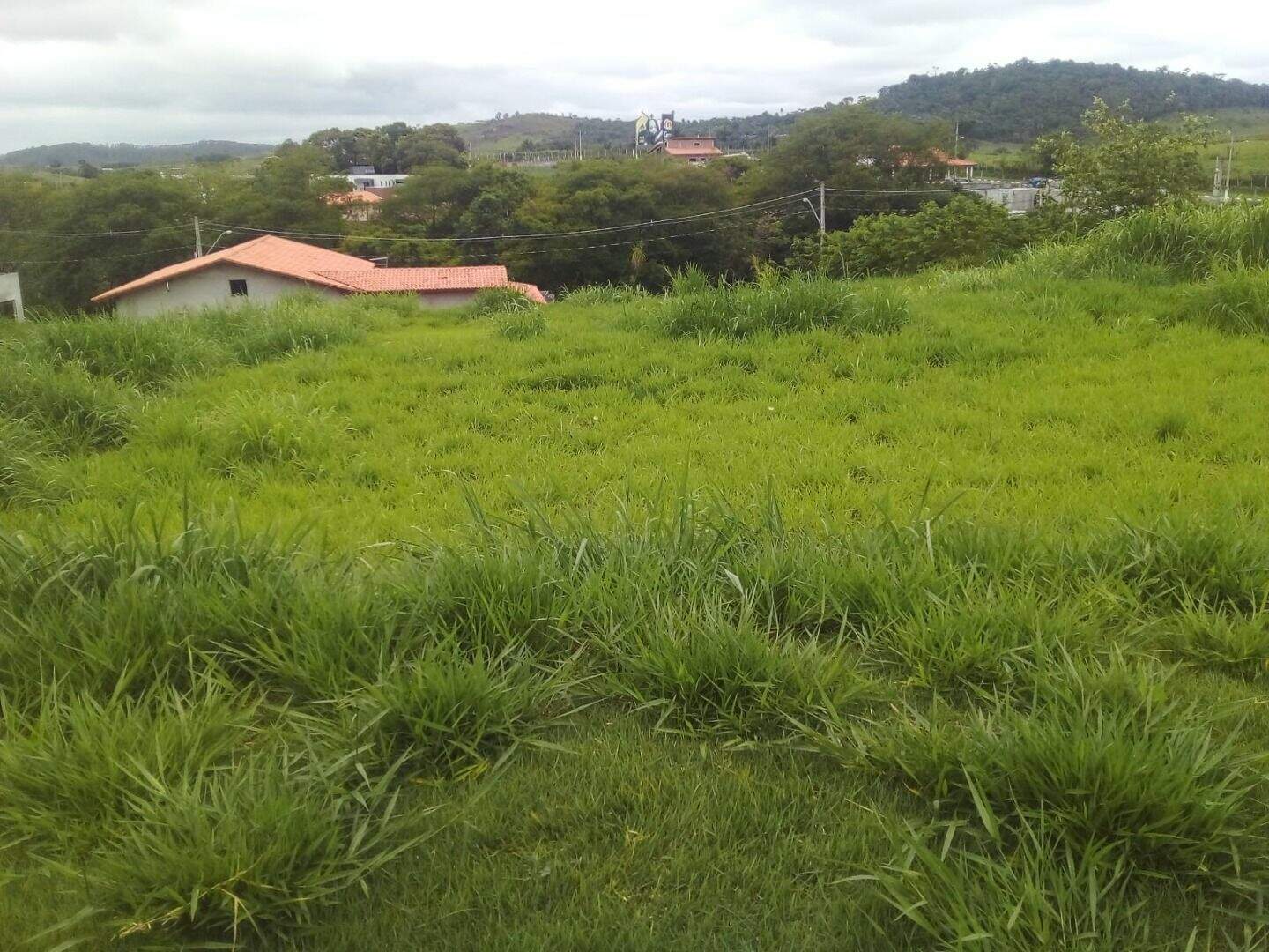 Terreno à venda no Cerejeira: 