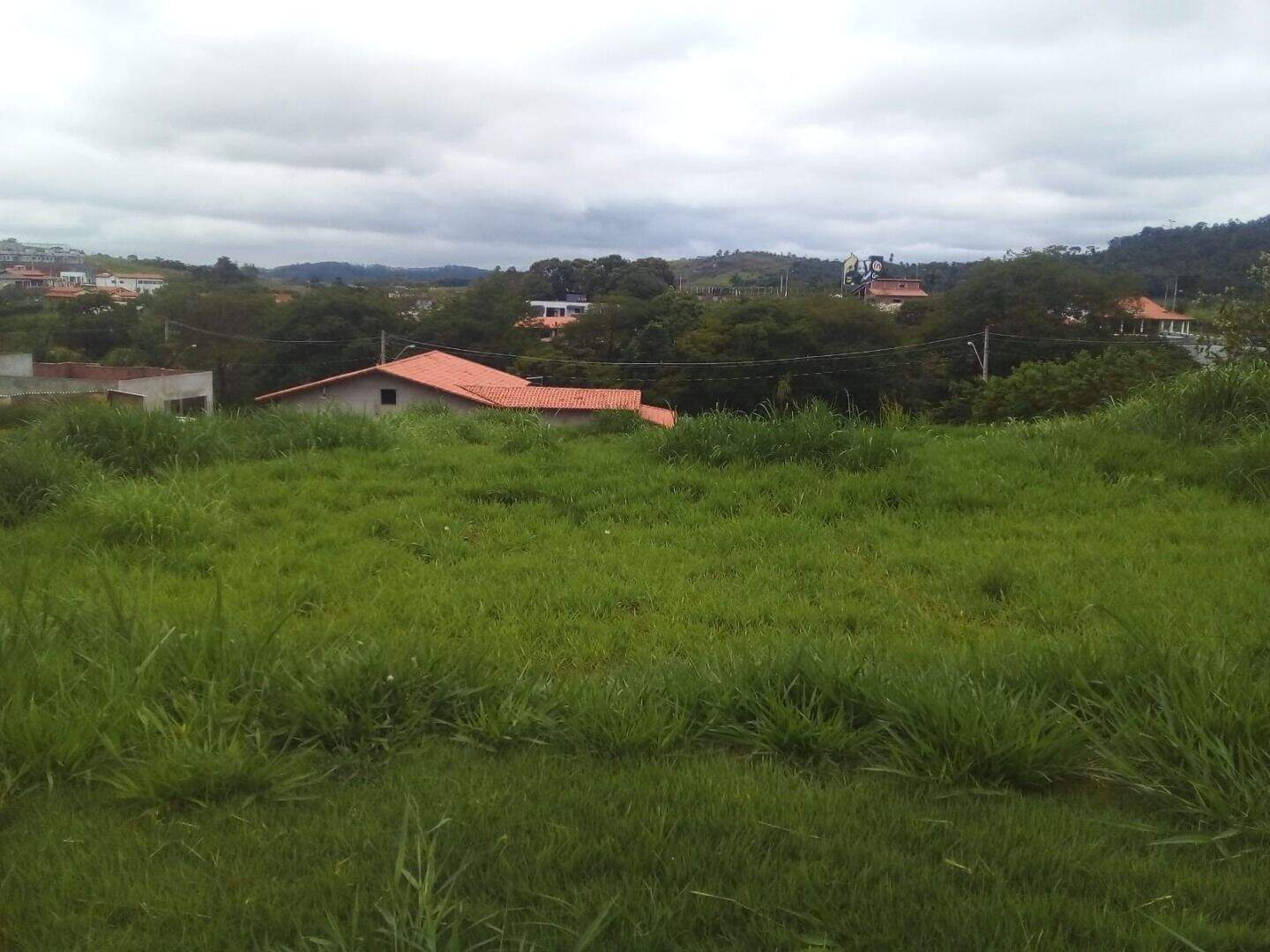 Terreno à venda no Cerejeira: 