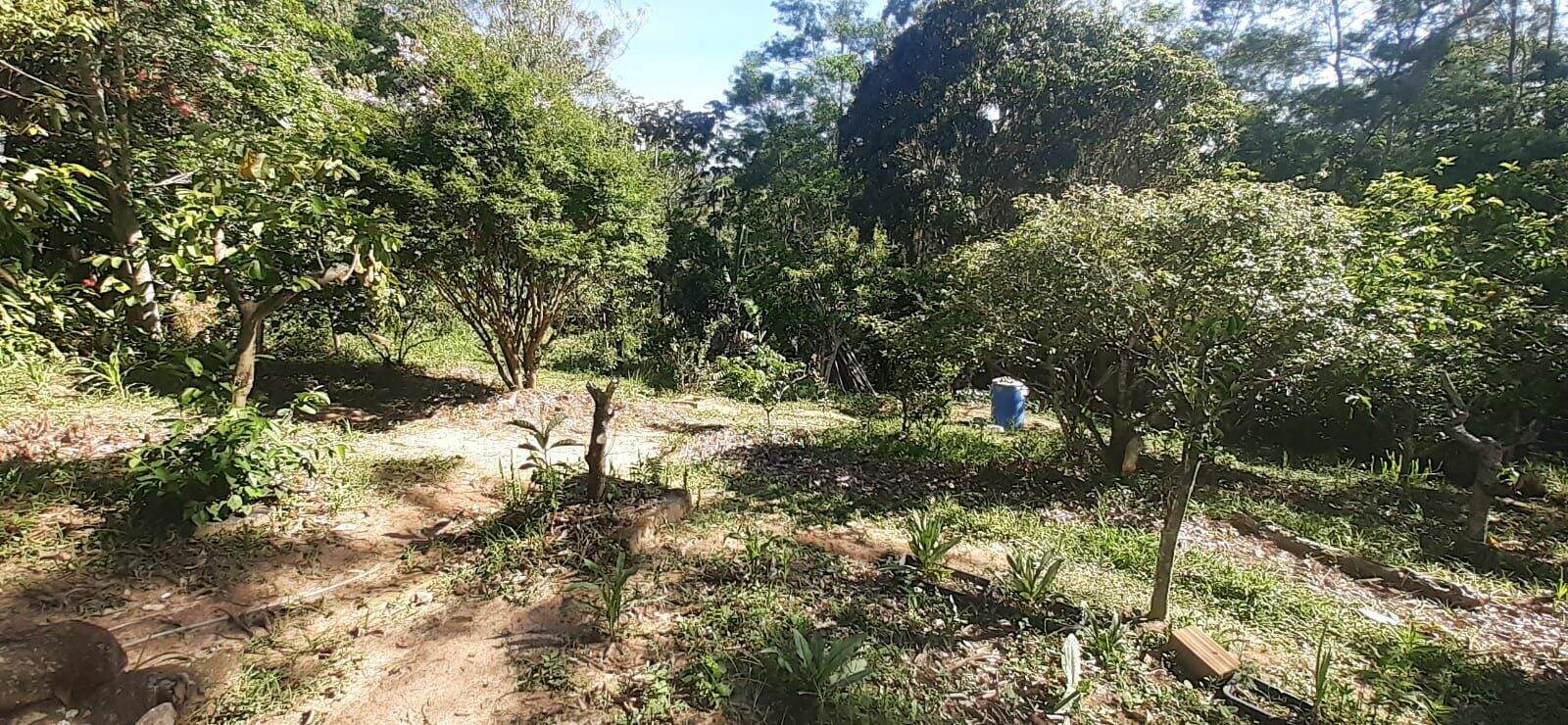 Chácara à venda no Chacara Santa Branca: 