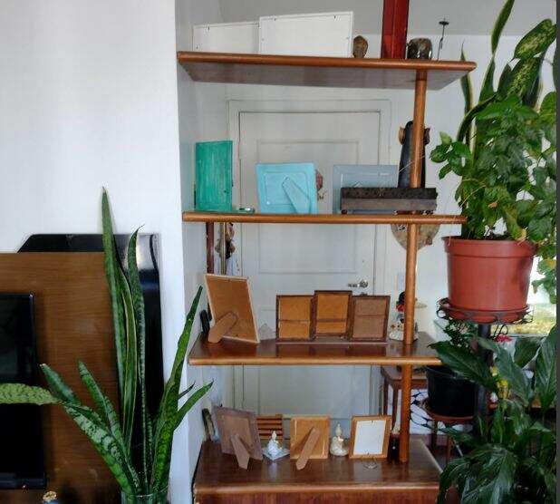 Apartamento à venda no Vila Mascote: 