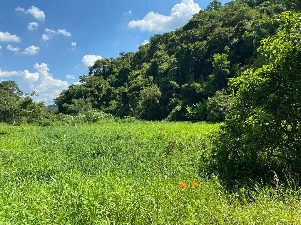 Terreno à venda no Estância Guararema: 