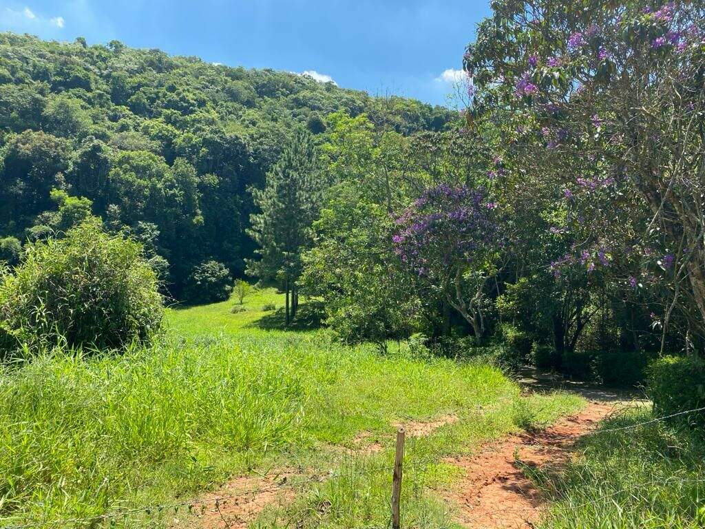 Terreno à venda no Estância Guararema: 
