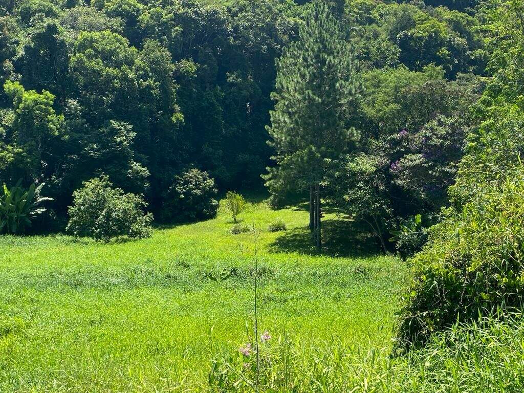 Terreno à venda no Estância Guararema: 