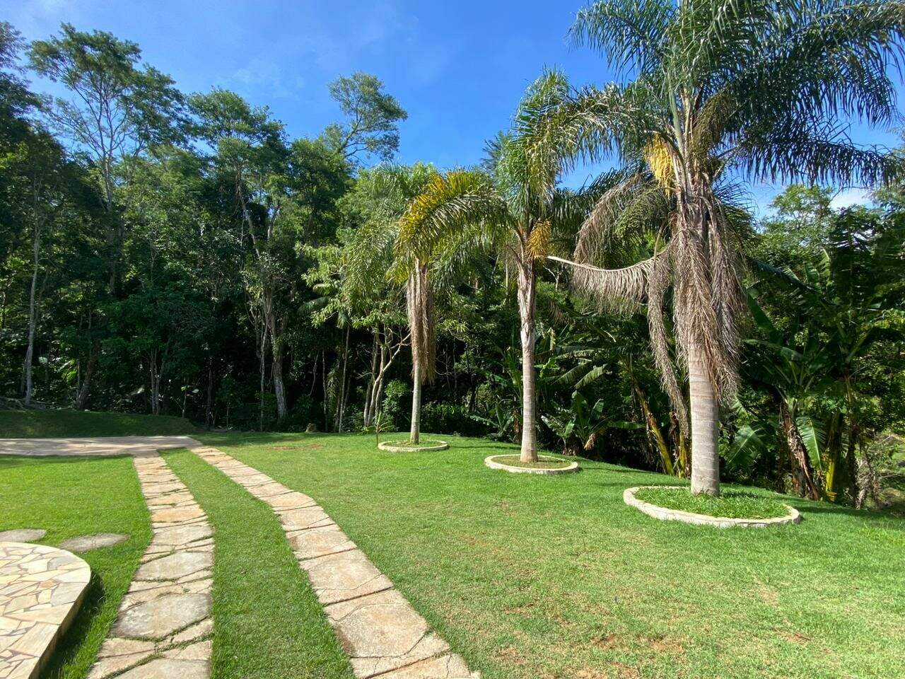 Sítio à venda no Parque Agrinco: 
