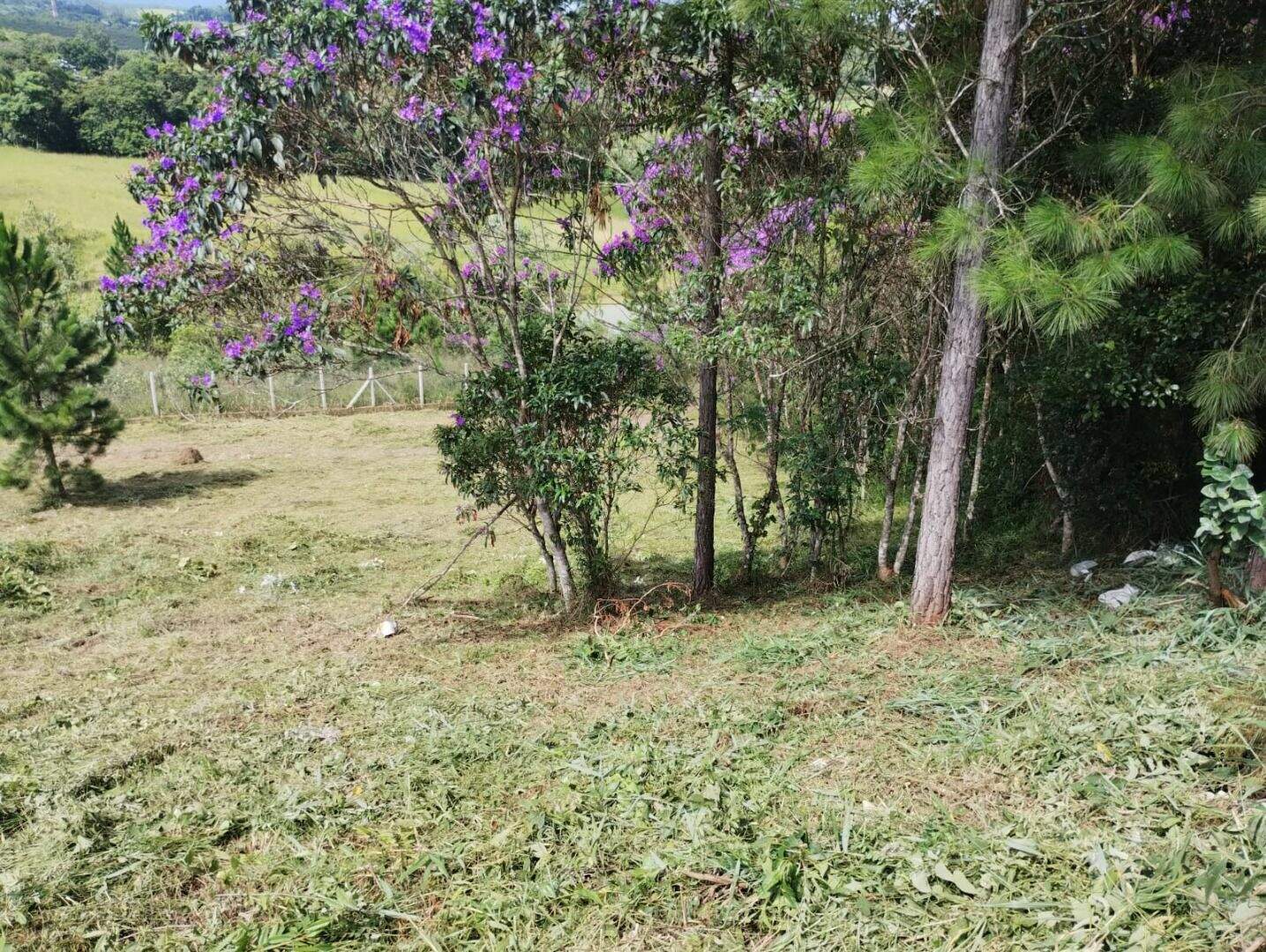 Terreno à venda no Chácaras Guanabara: 