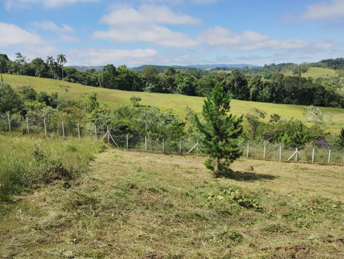 Terreno à venda no Chácaras Guanabara: 