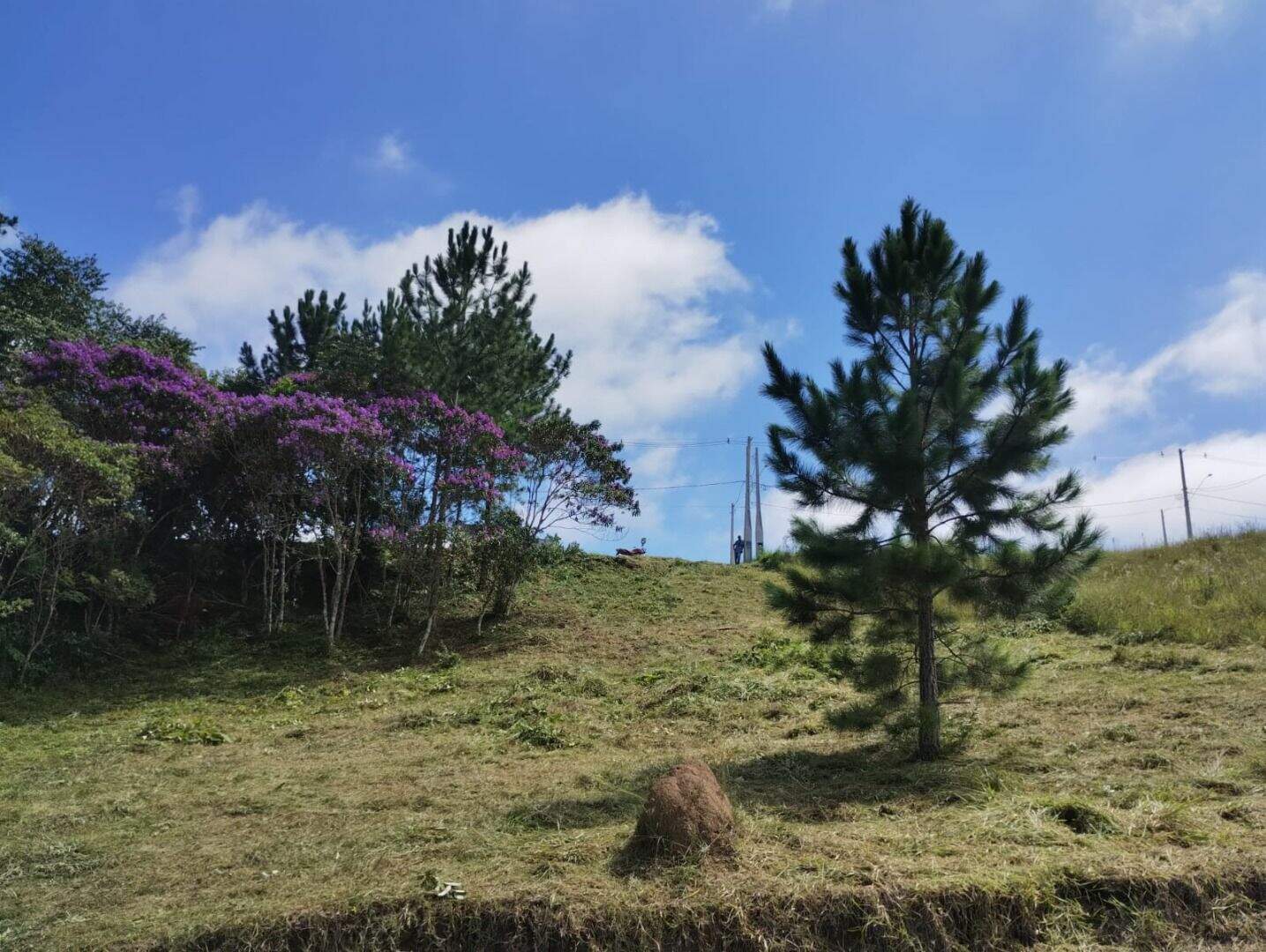 Terreno à venda no Chácaras Guanabara: 
