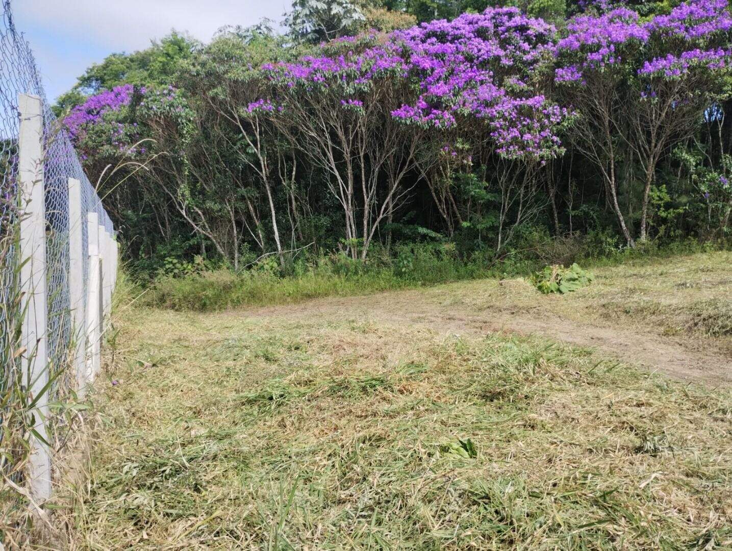 Terreno à venda no Chácaras Guanabara: 