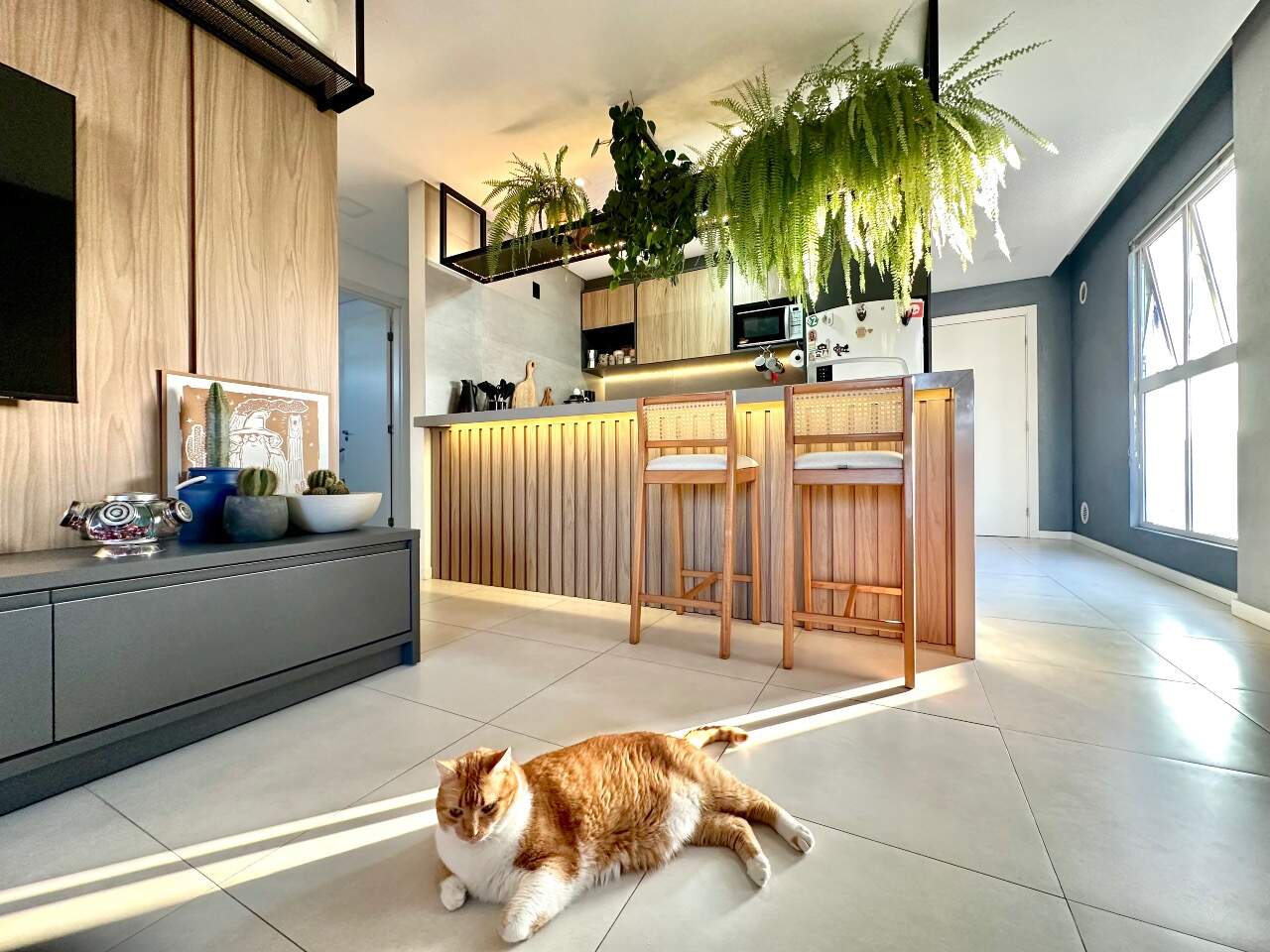 Apartamento à venda no Itoupava Norte: 