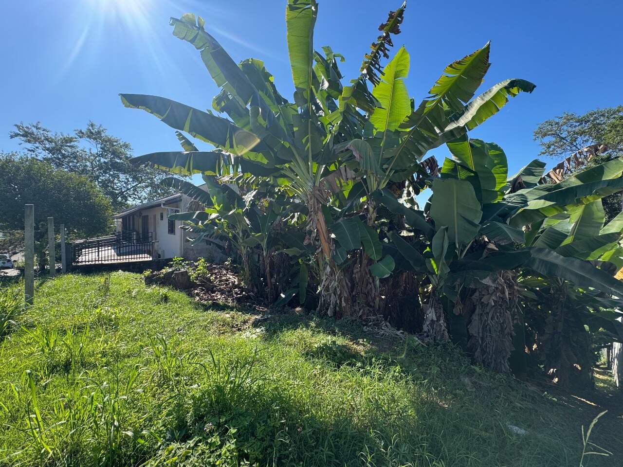 Terreno à venda no Velha: 