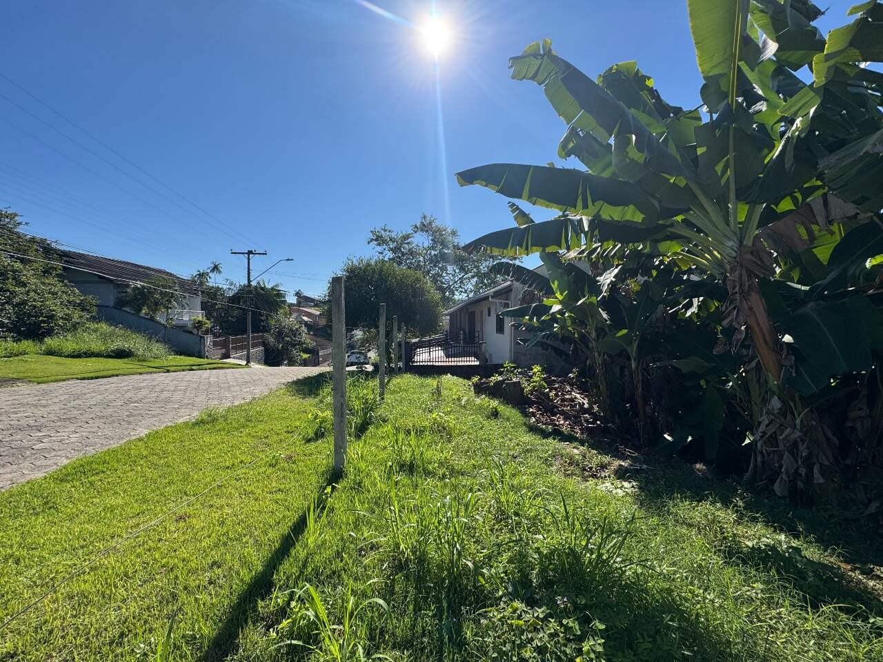 Terreno à venda no Velha: 