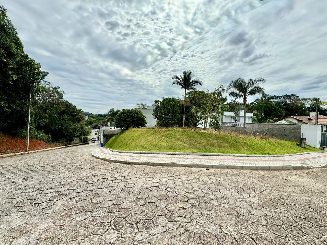 Terreno à venda no Velha: 