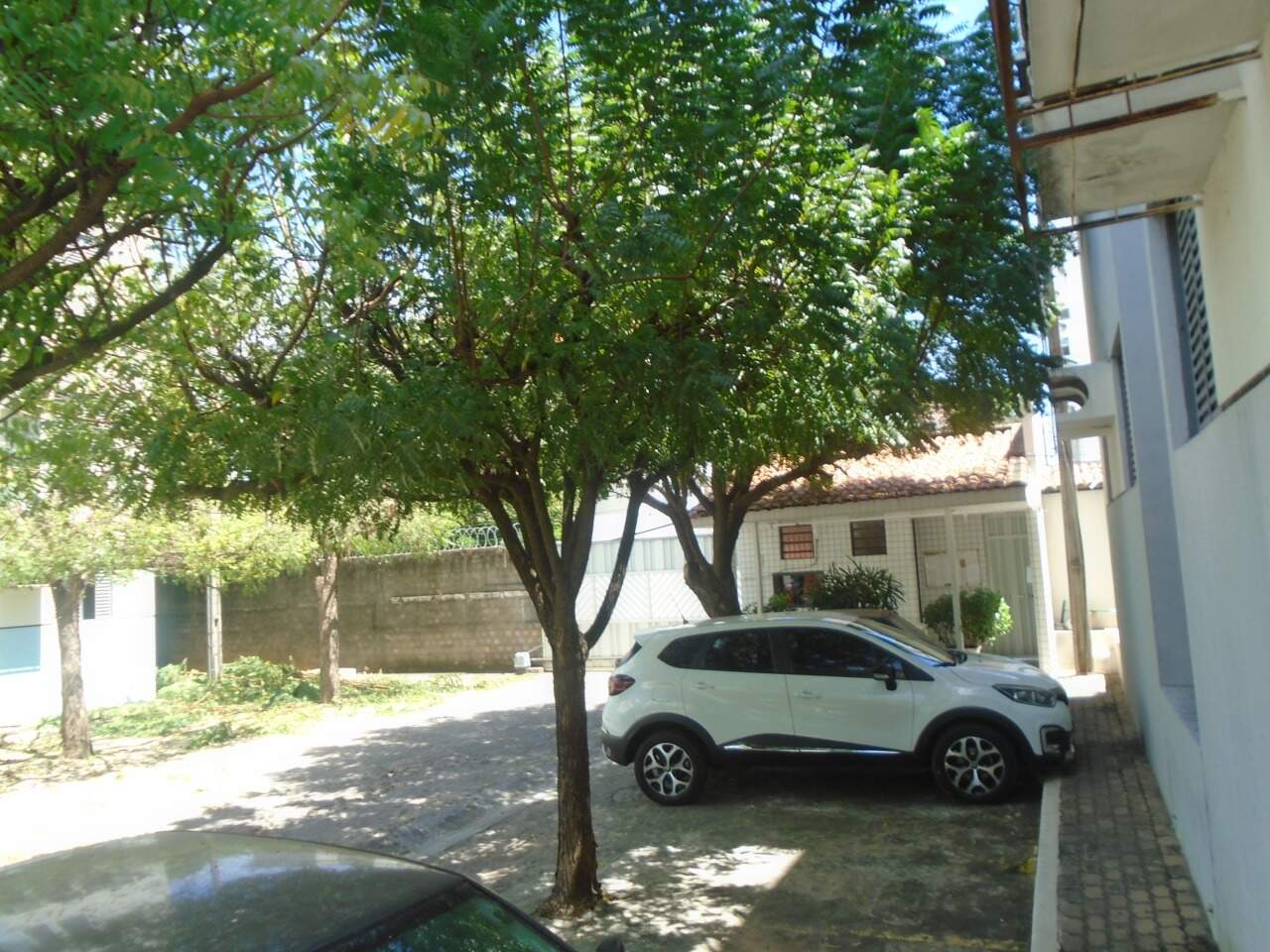 Apartamento para alugar com 3 quartos, 64m² - Foto 14