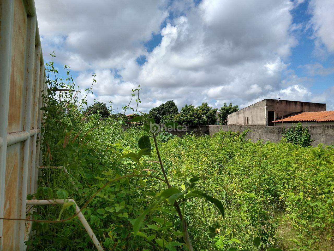 Terreno, 600 m² - Foto 5