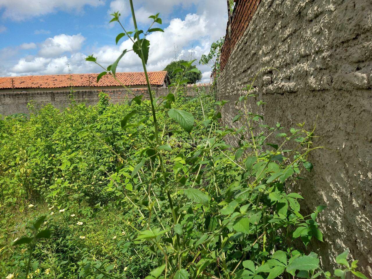 Terreno, 600 m² - Foto 3