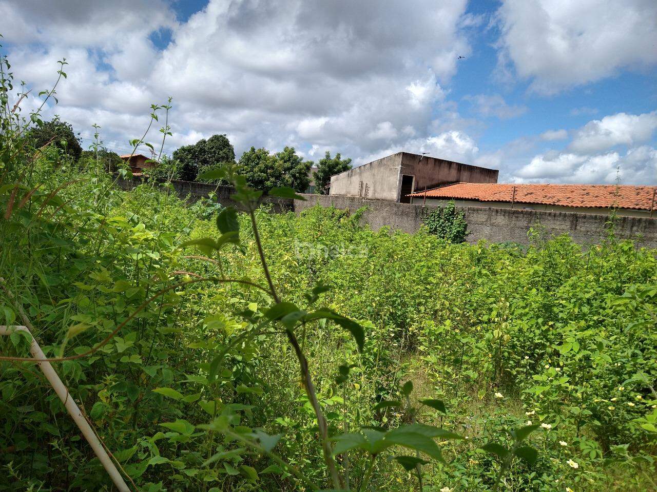 Terreno, 600 m² - Foto 4