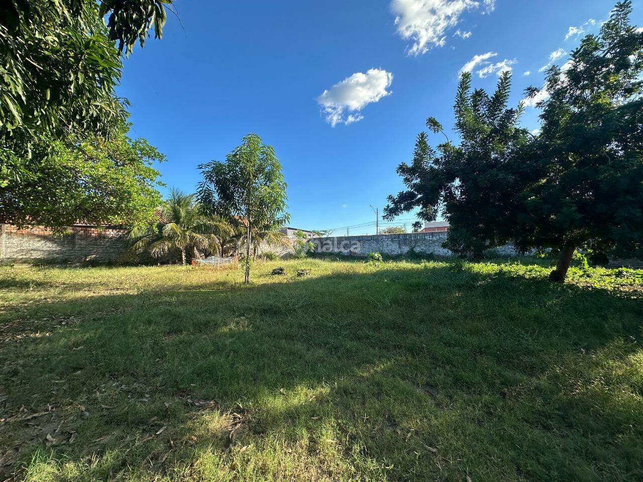 Casa, 4 quartos, 537 m² - Foto 28