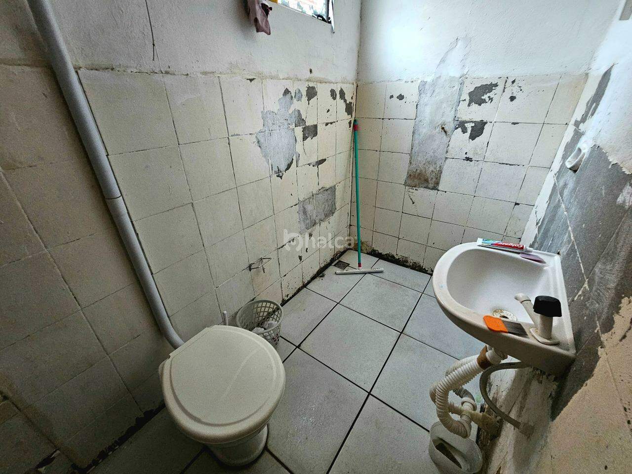 Casa, 6 quartos, 250 m² - Foto 18