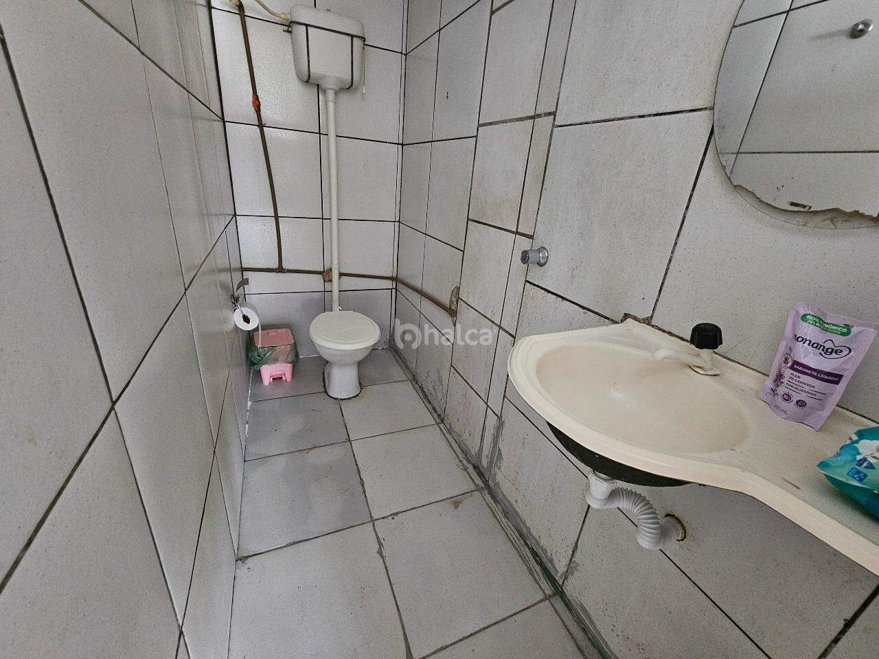 Casa, 6 quartos, 250 m² - Foto 6