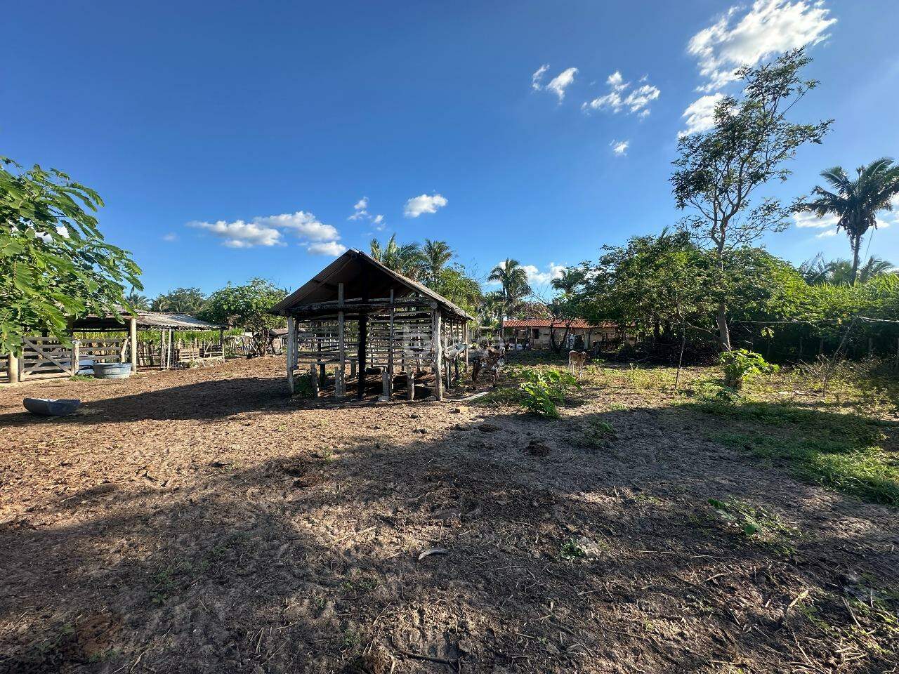 Sítio, 4 quartos, 4 hectares - Foto 27