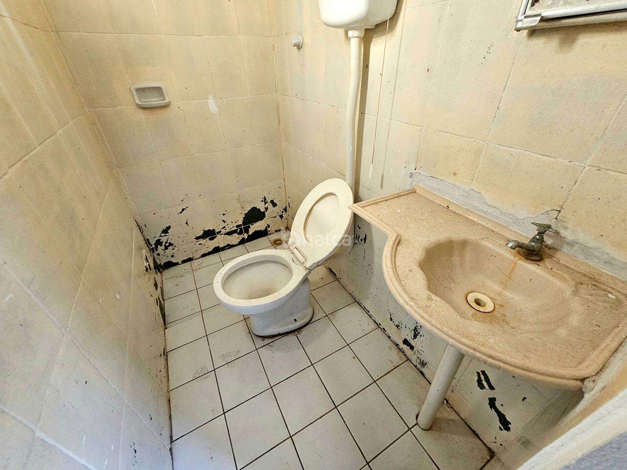 Casa, 5 quartos, 126 m² - Foto 25