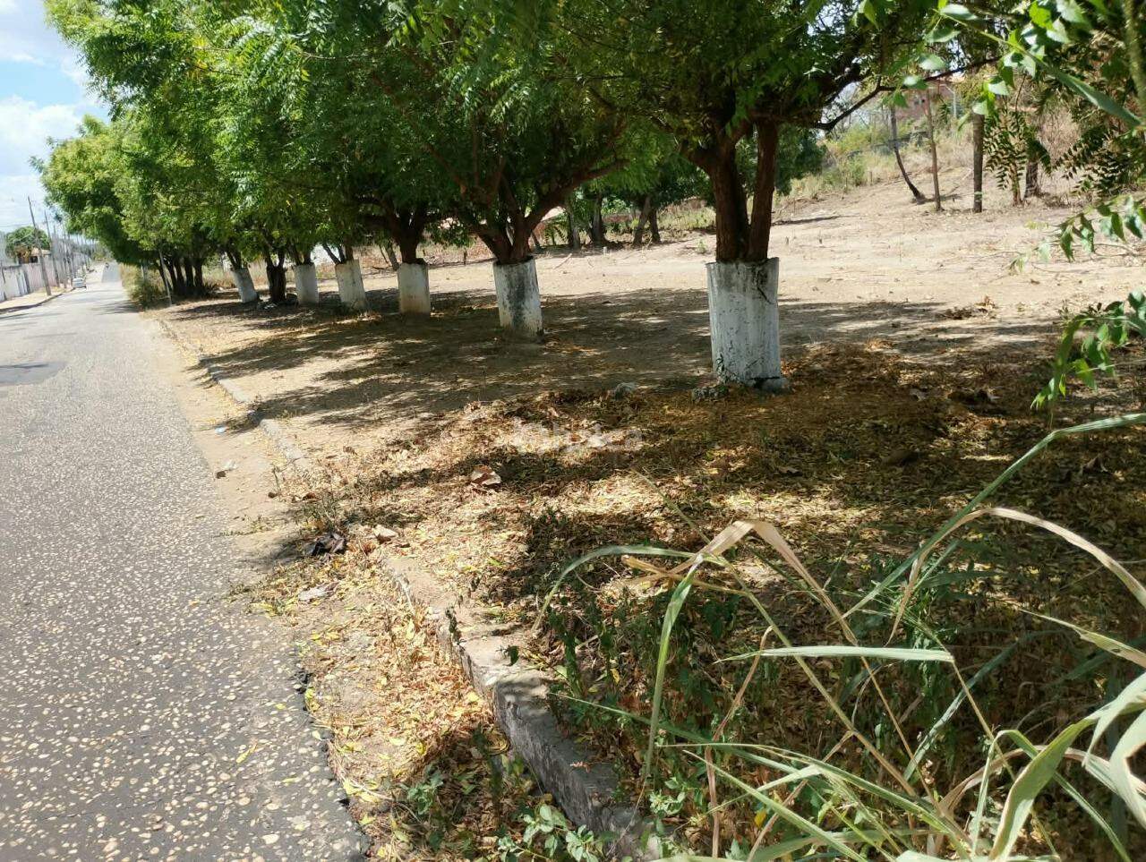 Terreno, 312 m² - Foto 6