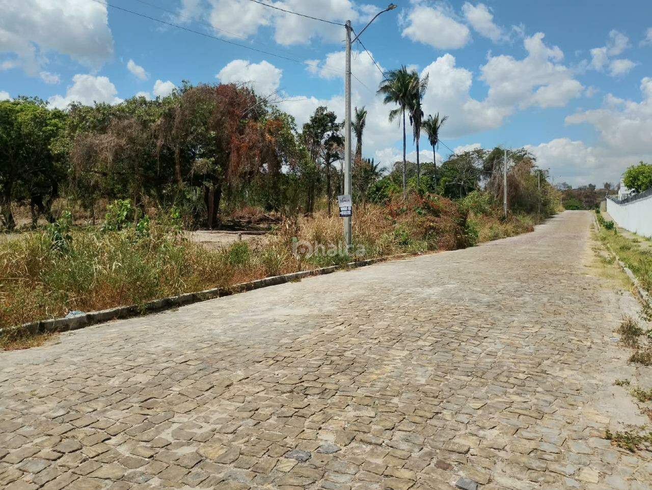 Terreno, 312 m² - Foto 5