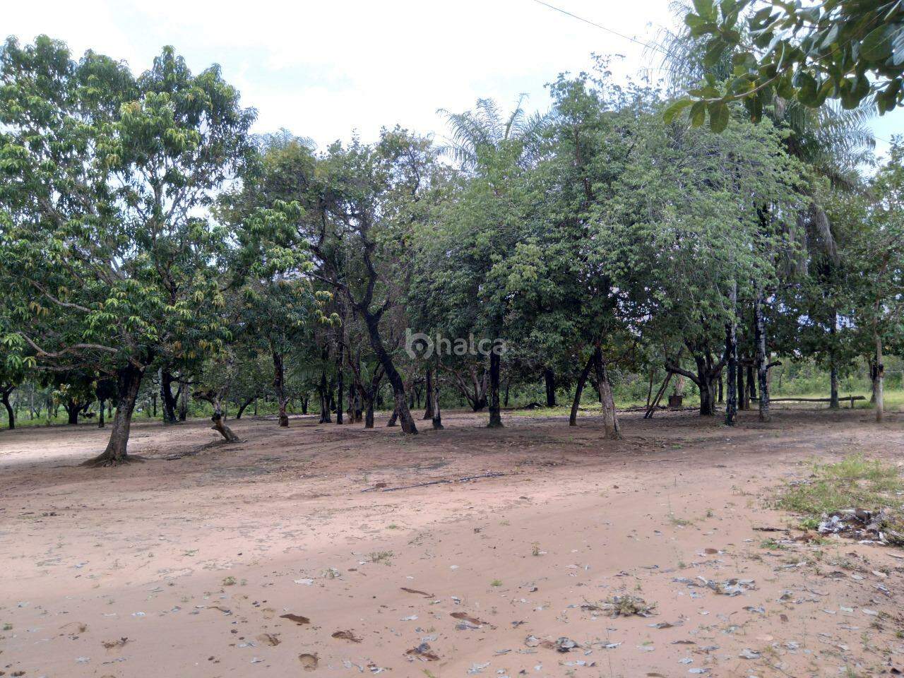 Fazenda à venda, 480000m² - Foto 5