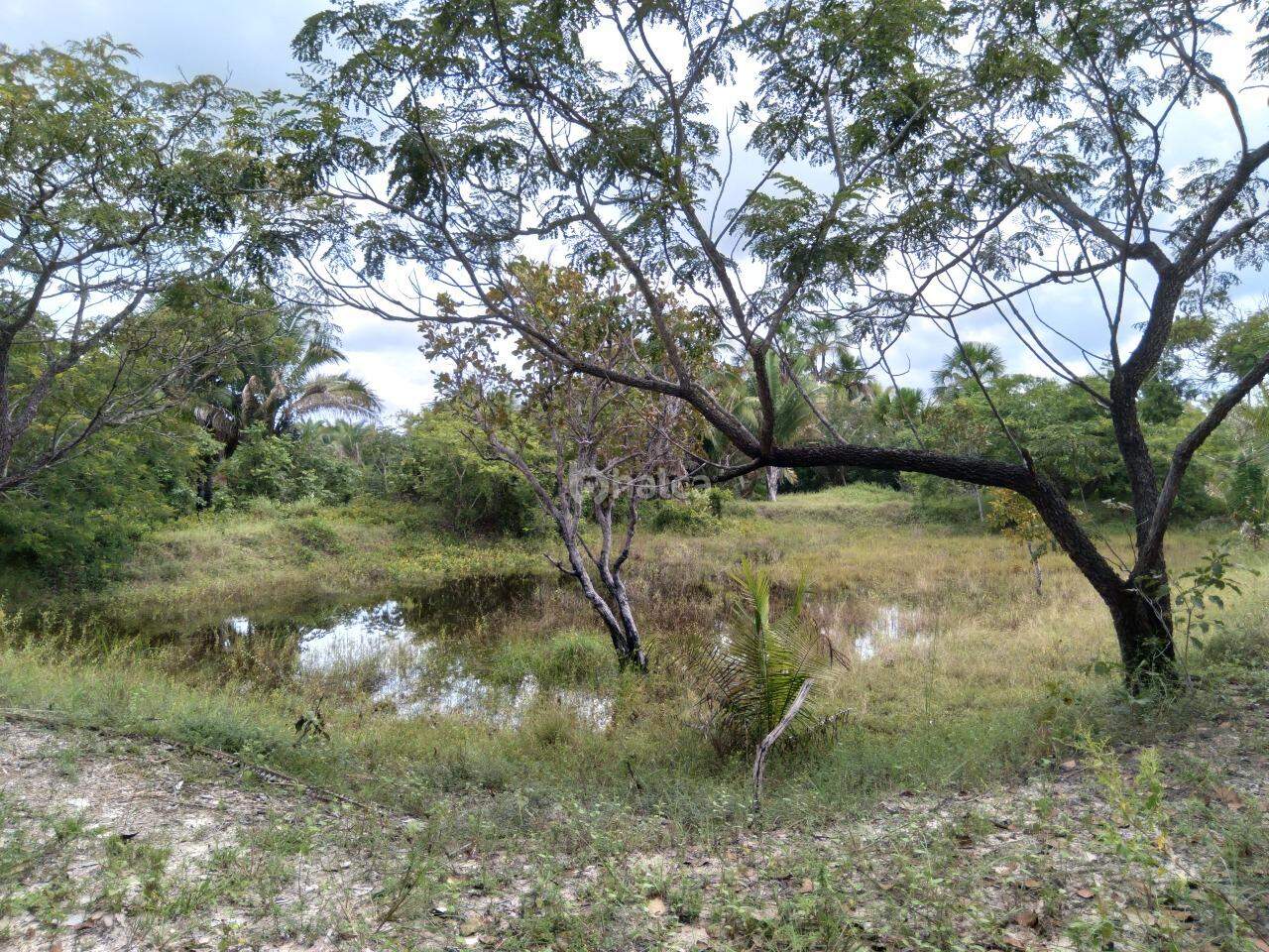 Fazenda à venda, 480000m² - Foto 14