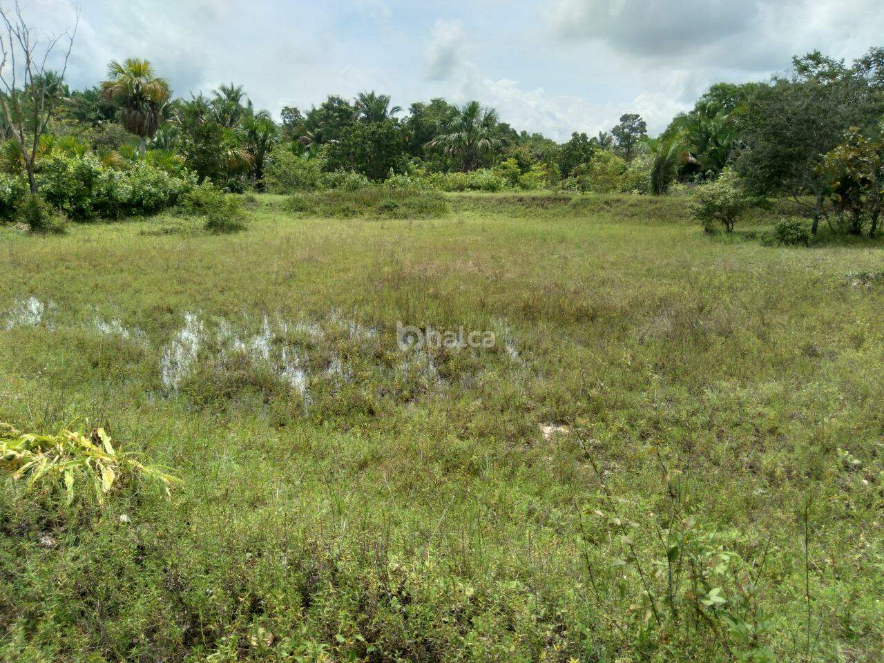 Fazenda à venda, 480000m² - Foto 13