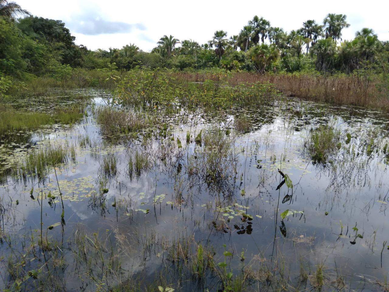 Fazenda à venda, 480000m² - Foto 15