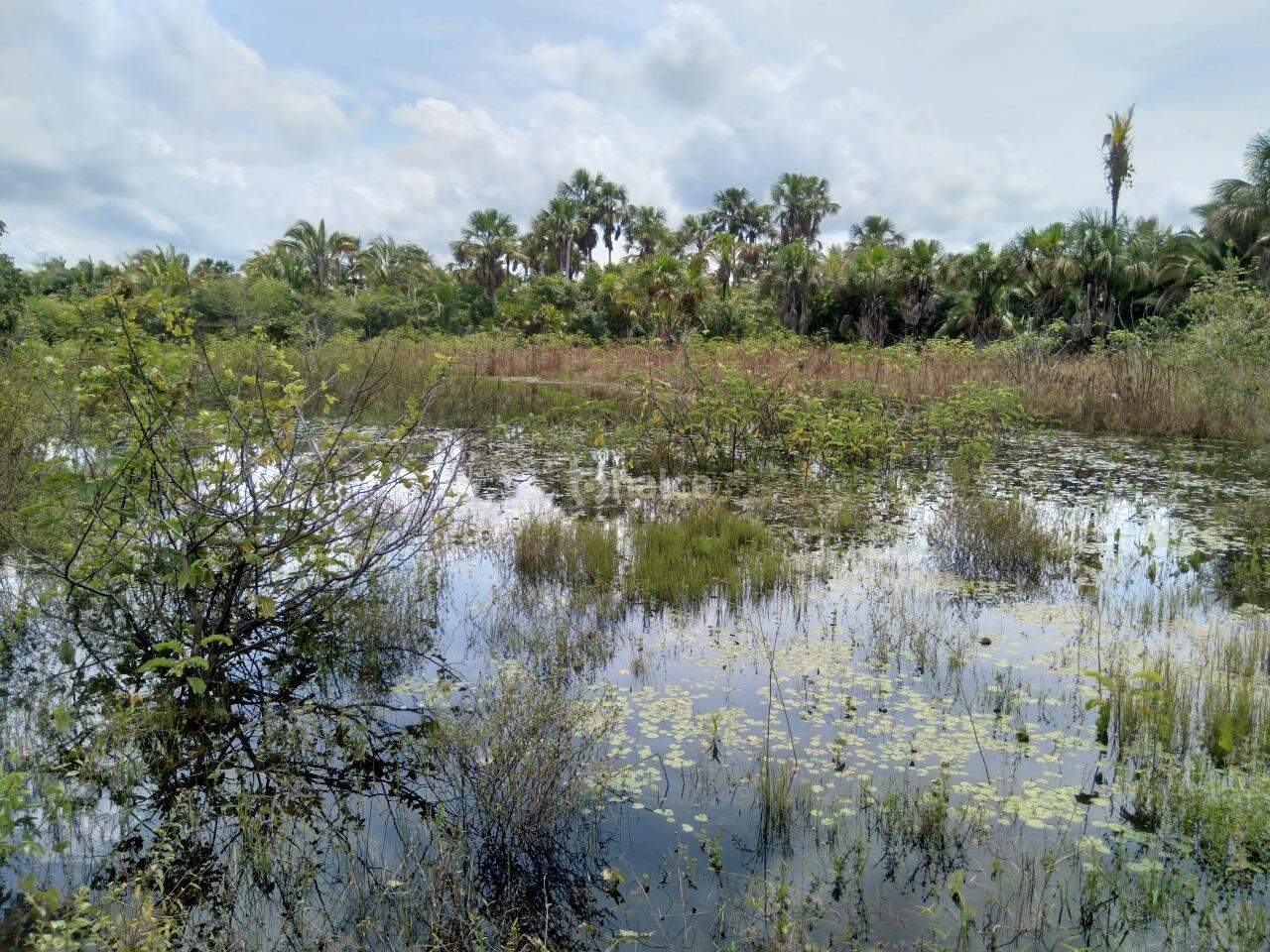 Fazenda à venda, 480000m² - Foto 16