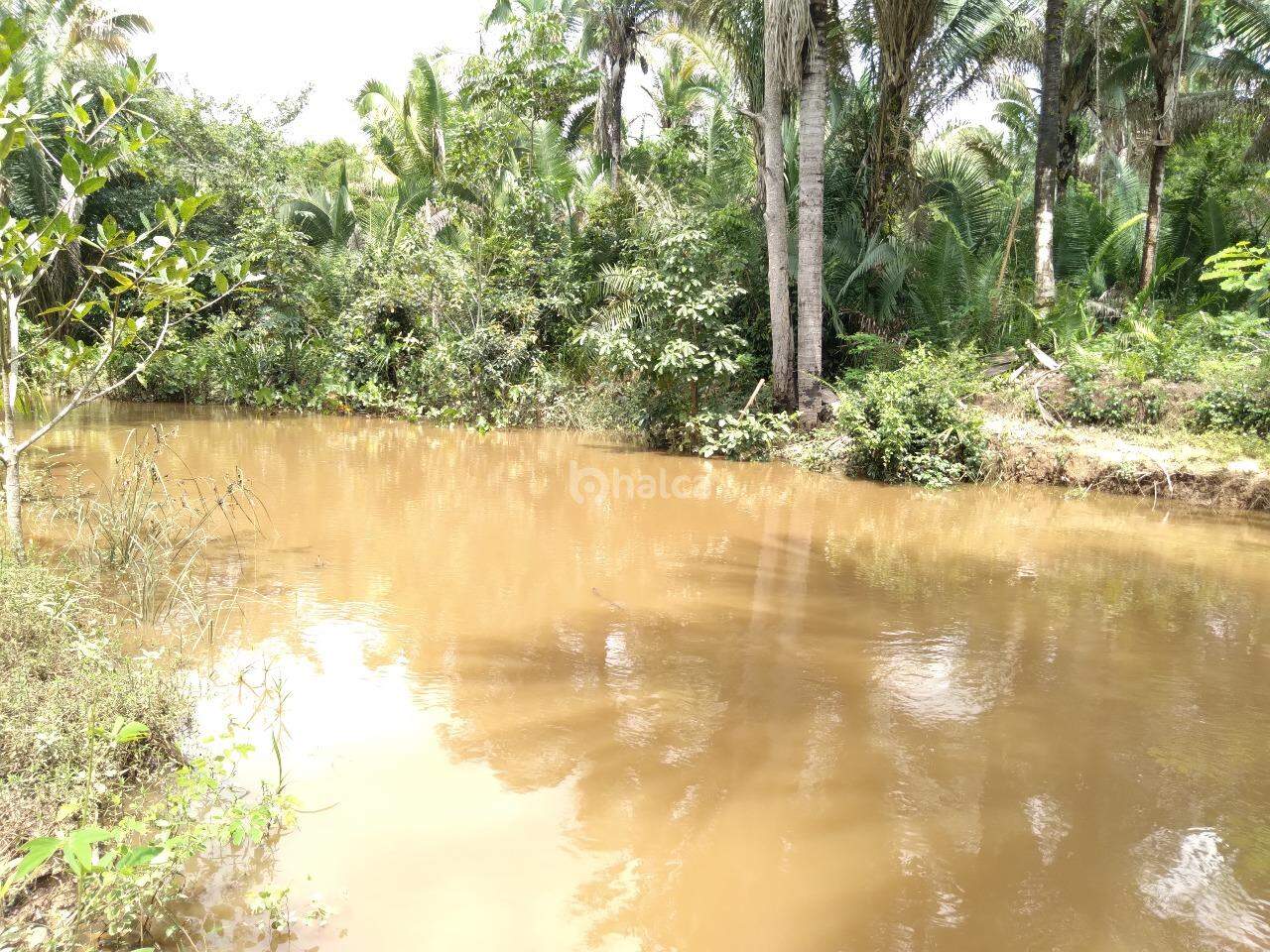 Fazenda à venda, 480000m² - Foto 20