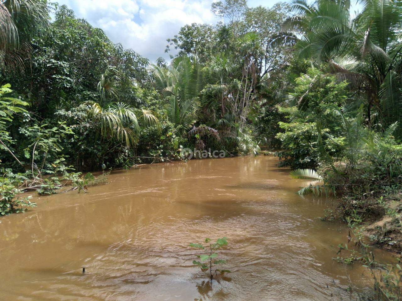 Fazenda à venda, 480000m² - Foto 19