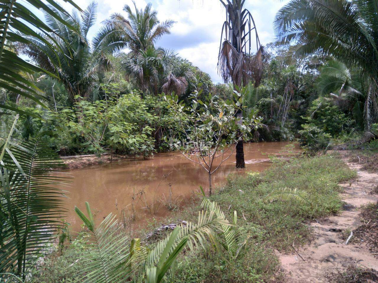 Fazenda à venda, 480000m² - Foto 18