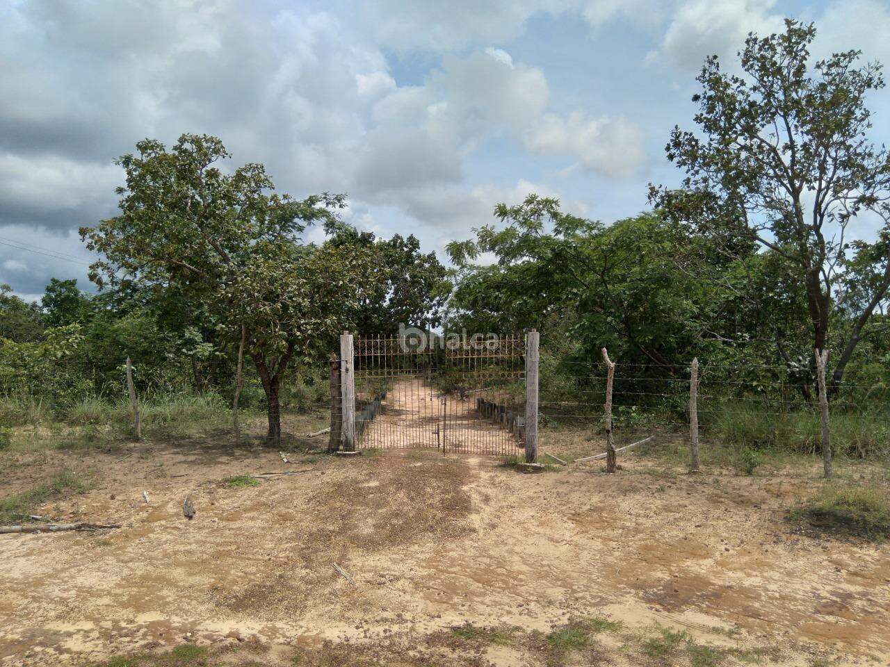 Fazenda à venda, 480000m² - Foto 3