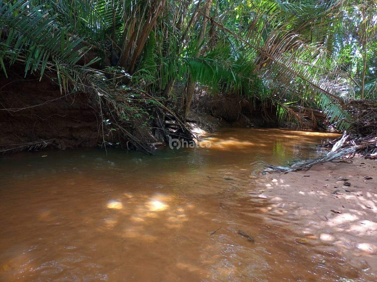 Fazenda à venda, 240m² - Foto 6