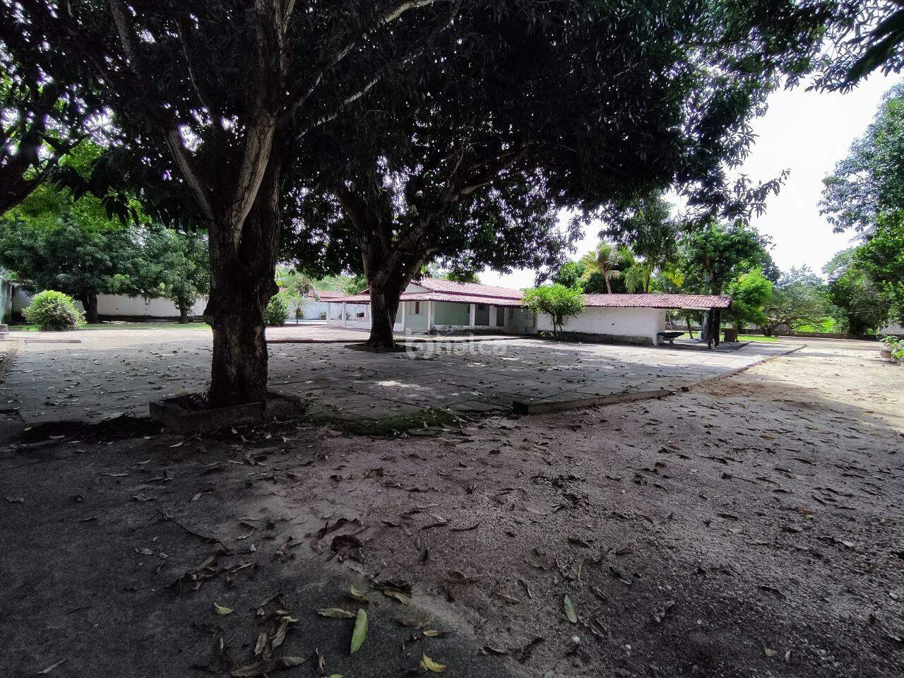 Fazenda à venda com 4 quartos, 550m² - Foto 3