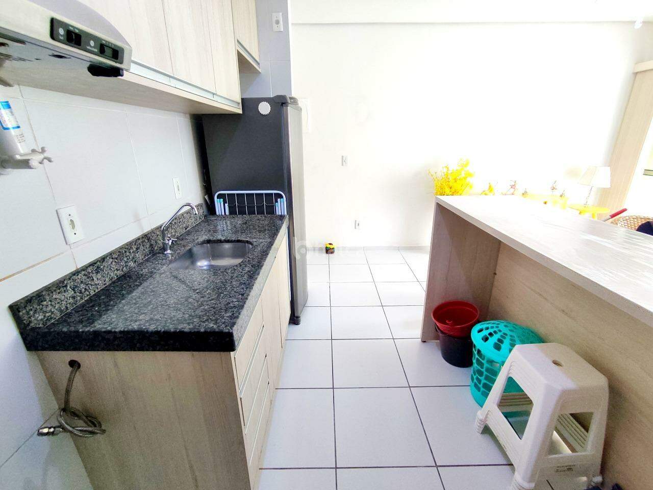 Apartamento para alugar com 3 quartos, 64m² - Foto 14