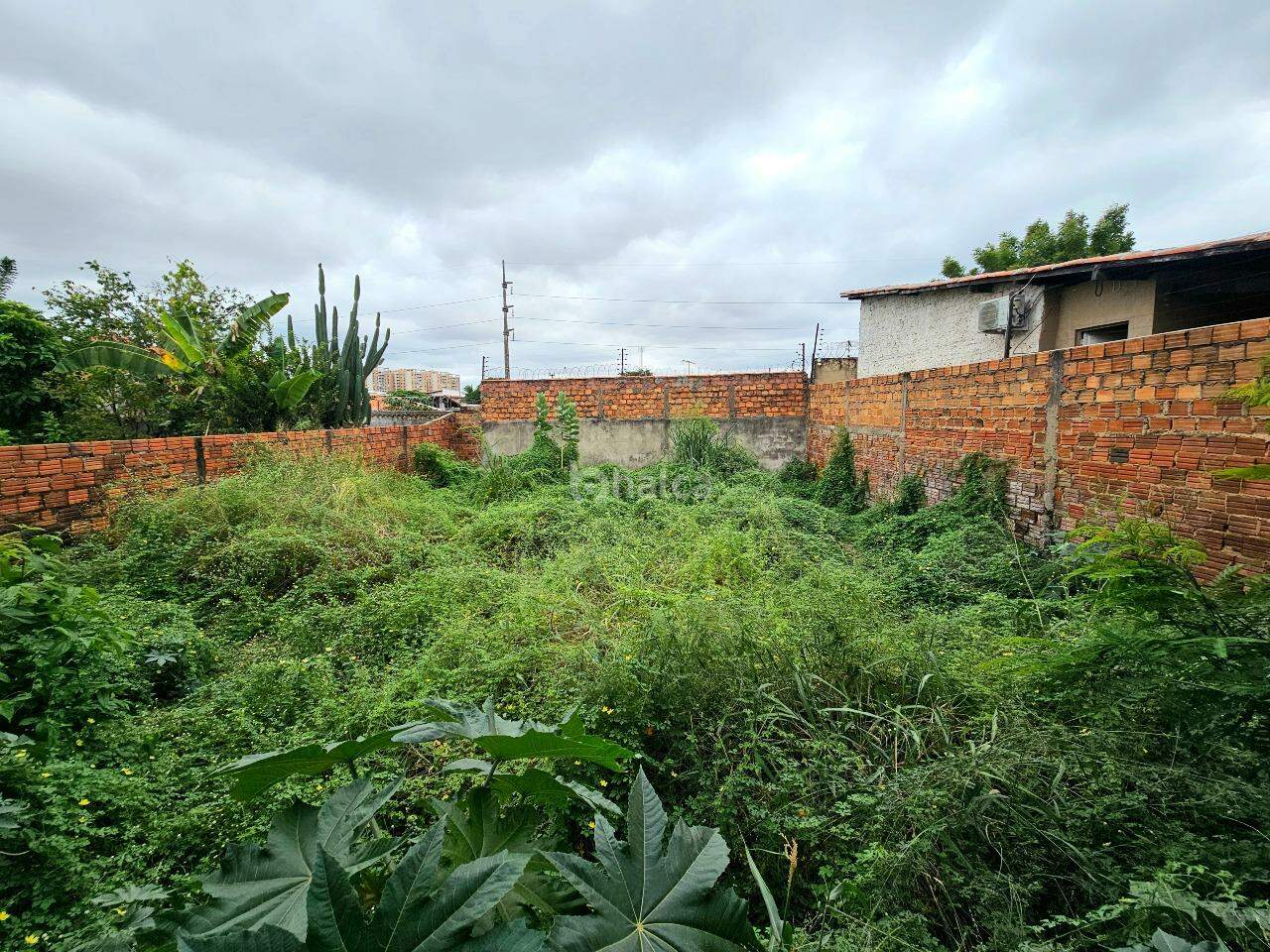 Casa, 4 quartos, 122 m² - Foto 17