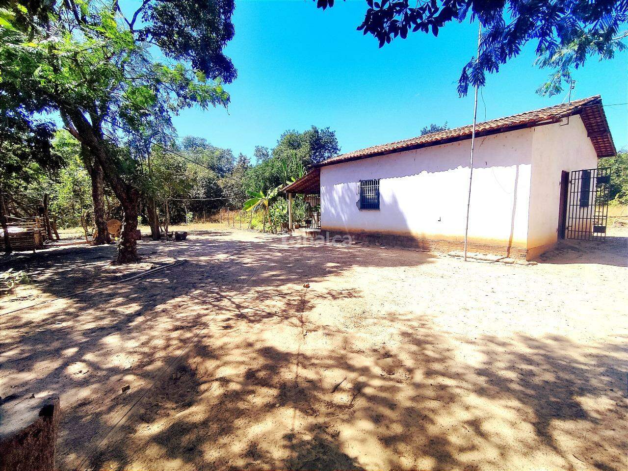 Fazenda à venda com 2 quartos, 30000m² - Foto 8