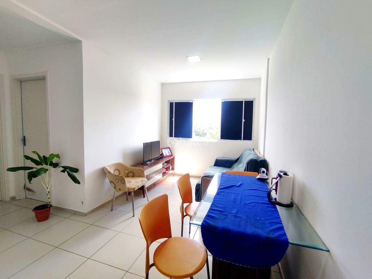 Apartamento à venda com 2 quartos, 50m² - Foto 4